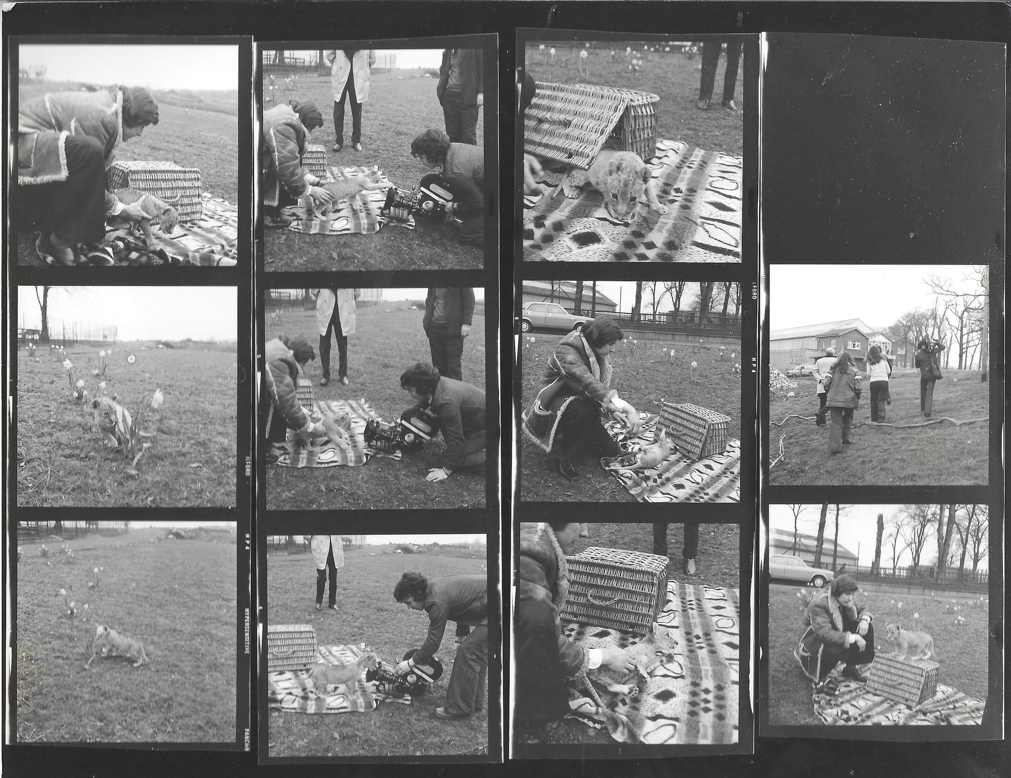 The last days of Glasgow Zoo