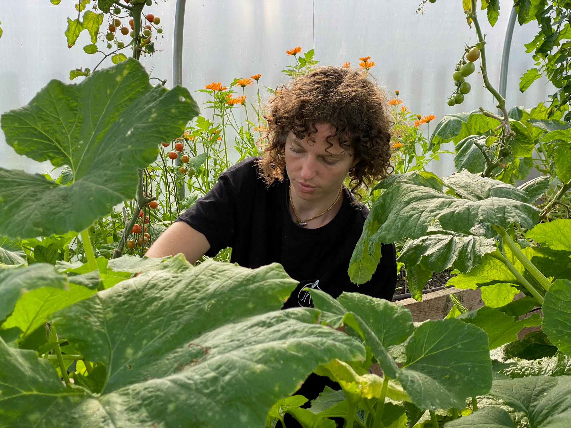 Growing hope in Glasgow's most isolated community