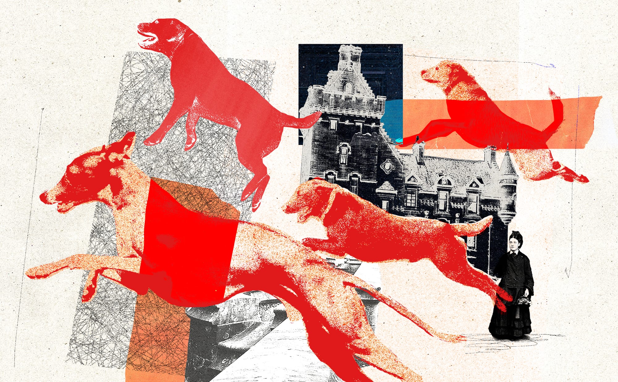 Debunking Dumbarton’s doggy suicide bridge