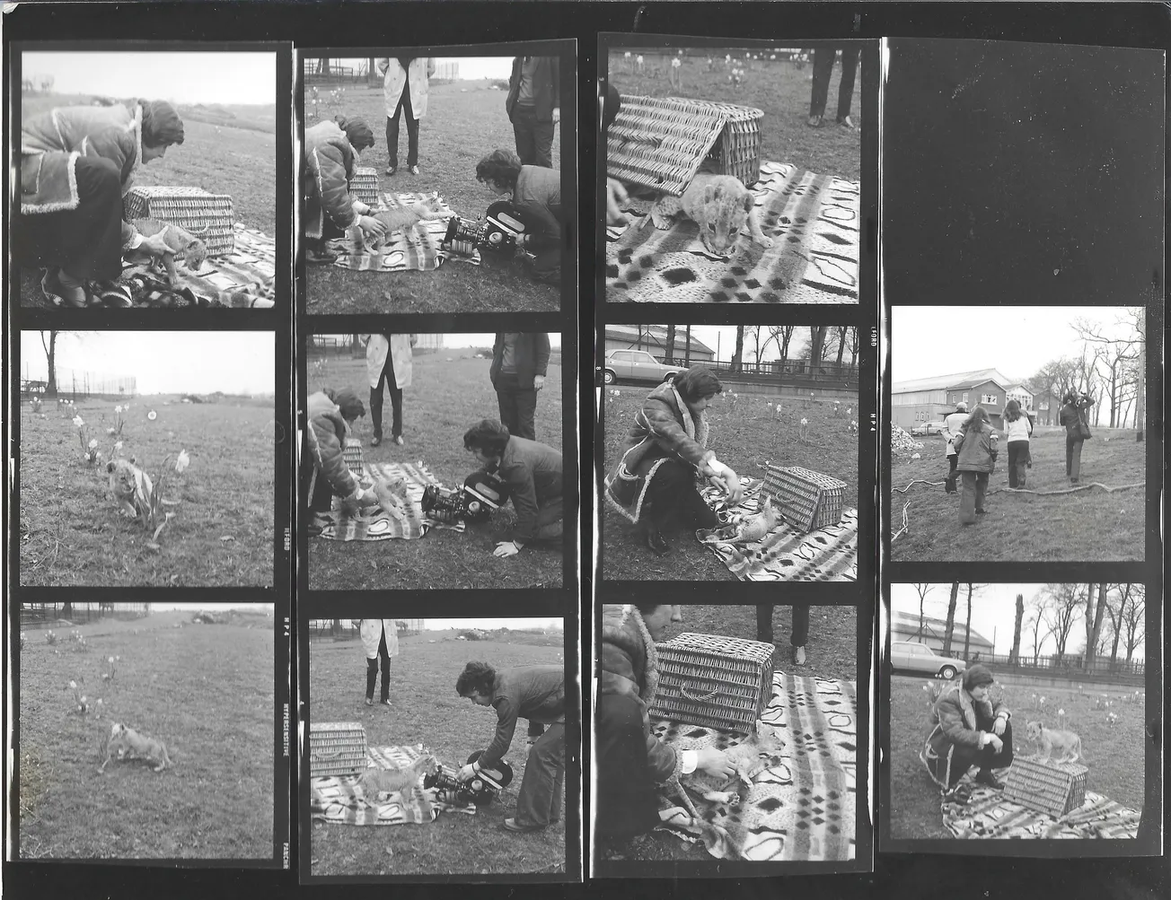 The last days of Glasgow Zoo